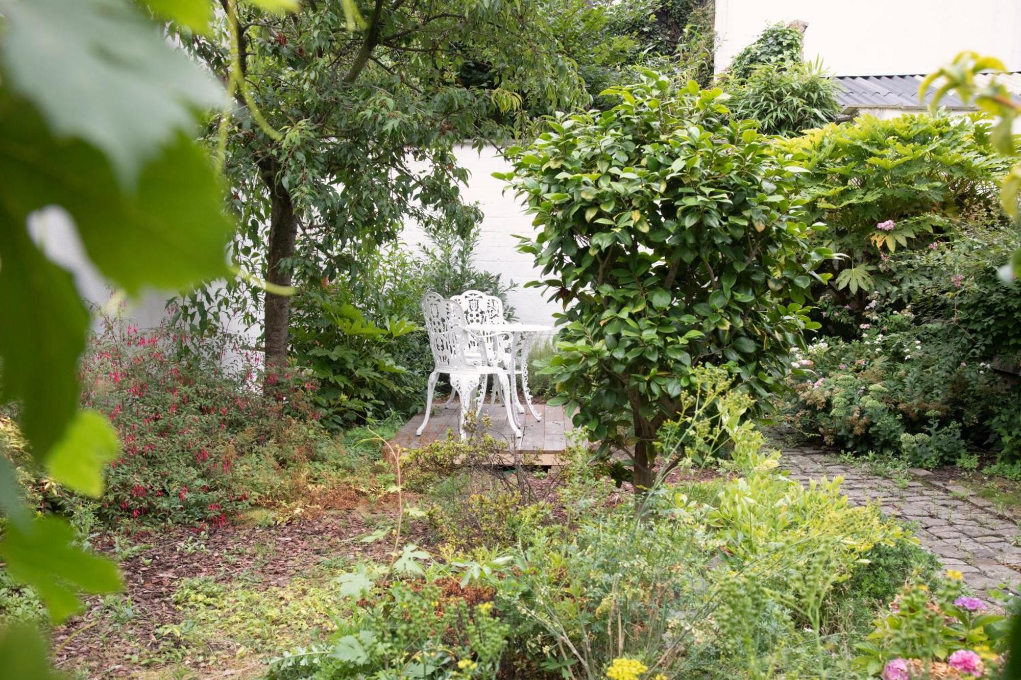The Greenhouse Antwerpen Exteriör bild
